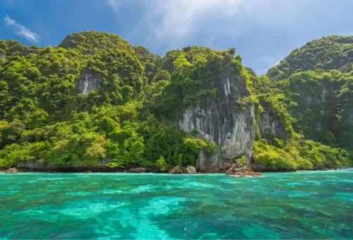 Monkeys on the shore of Monkey Beach at Phi Phi Don Island with white sand, tropical trees, and clear shallow waters, featured on the speed catamaran tour by Phuket Travel Store