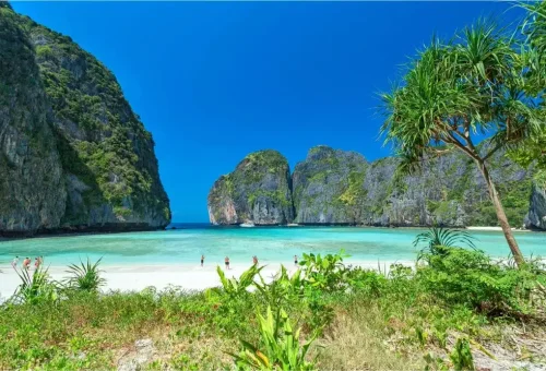 Maya Bay at Phi Phi Leh Island with white sandy beach, turquoise water, and dramatic limestone cliffs, featured on the Phi Phi Island speed catamaran tour by Phuket Travel Store