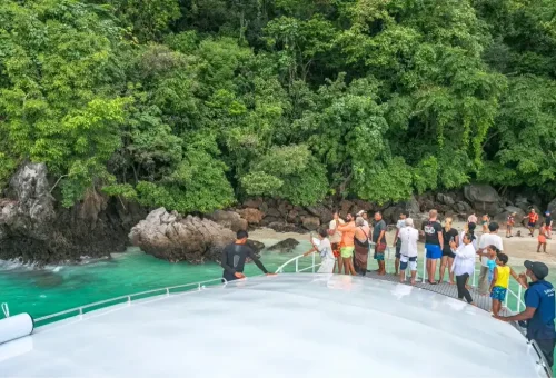 Close-up view of monkeys on Monkey Beach, Phi Phi Island, with white sand and clear shallow water, taken during the speed catamaran tour by Phuket Travel Store
