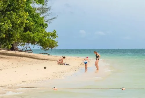 Peaceful beach scene at Rang Yai Island with soft white sand, clear blue water, and palm trees, captured during the James Bond Island tour by Phuket Travel Store