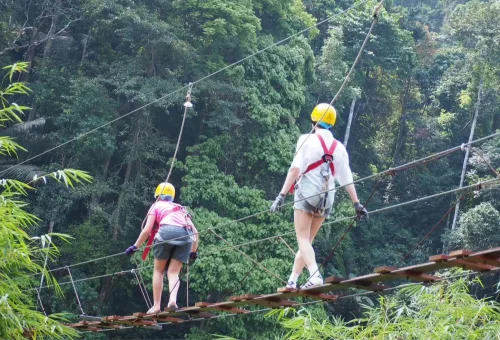 Exciting zipline ride above the forest in Phang Nga with Anda Adventure – eco-adventure experience – PhuketTravelStore.com