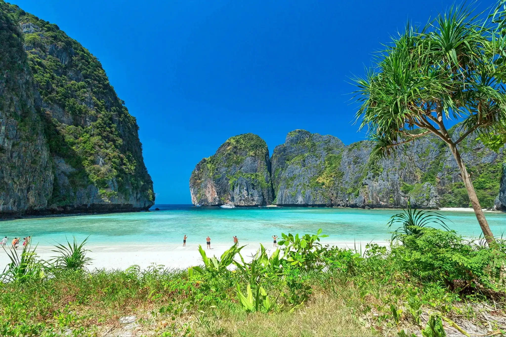 Tourists admiring the stunning white sand and dramatic cliffs of Maya Bay at Phi Phi Leh Island, Thailand