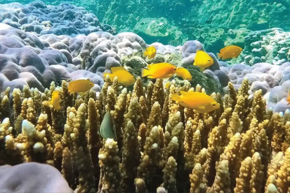 maiton-island-phuket-travel-store-6