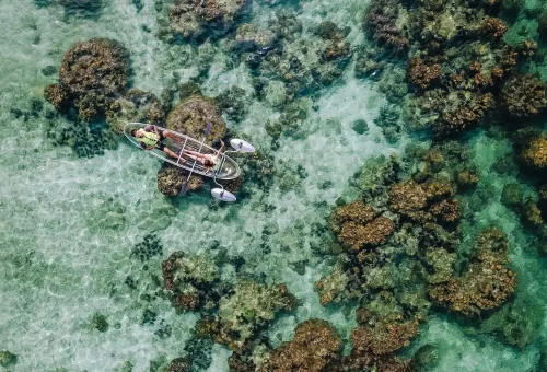 coral-island-phuket-travel-store-2