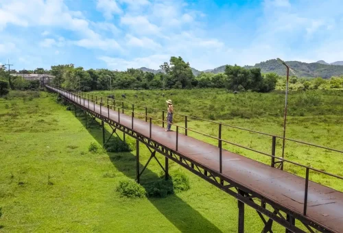 Takuapa Little Amazon Phuket Travel Store 3