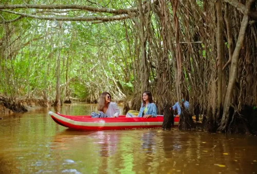 Traveler canoeing through lush mangrove forest in the Little Amazon of Takuapa, surrounded by towering banyan trees and serene jungle scenery.