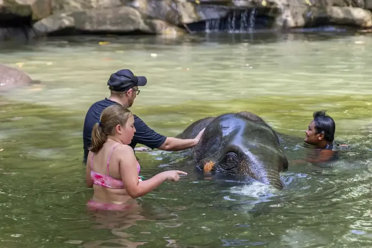 Khao Lak Elephant Bath Phuket Travel Store 1