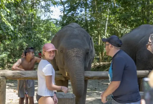 Close-up of an elephant enjoying a bath in a river near Khao Lak, part of a responsible nature tour with Phuket Travel Store.