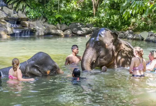 Tour participant gently washing an elephant in a calm river near Khao Lak, part of an eco-friendly experience by Phuket Travel Store.