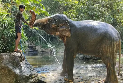 Khao Lak Safari Phuket Travel Store 4