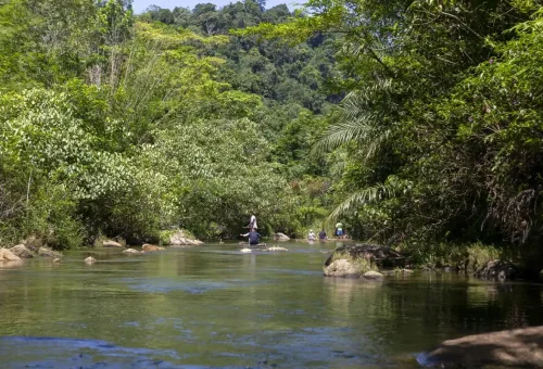 Tourists gently floating on a bamboo raft down a peaceful river surrounded by dense tropical forest in Khao Lak with Phuket Travel Store.