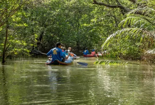 Canoeing in Little Amazon, Takuapa – off-road eco safari through mangrove jungle with Phuket Travel Store