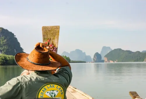 Traditional Thai longtail boat cruising at sunrise in Phang Nga Bay with limestone cliffs in the background