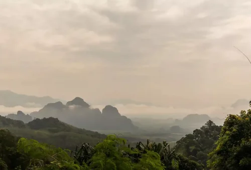 Sunrise over misty rainforest in Khao Sok National Park – tranquil morning view in Southern Thailand