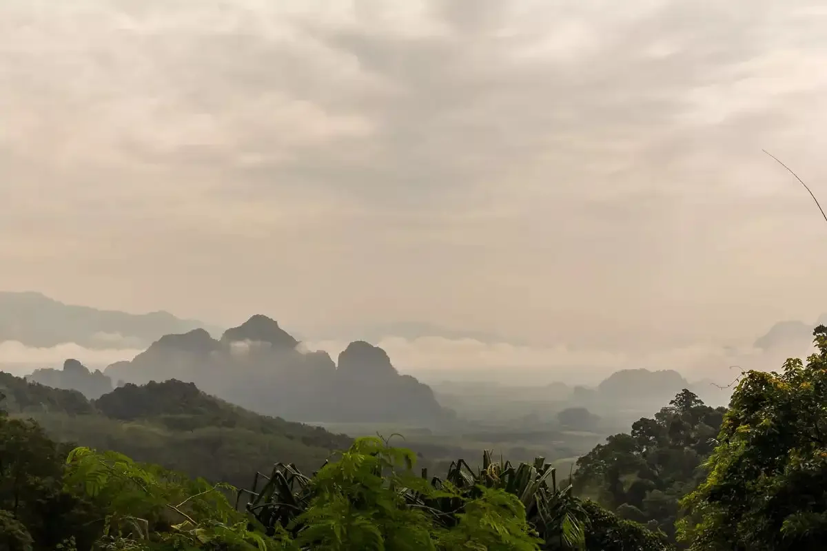 Khao Sok Jungle Trekking Phuket Travel Store 4