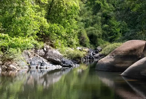 Khao Sok Jungle Trekking Phuket Travel Store 5