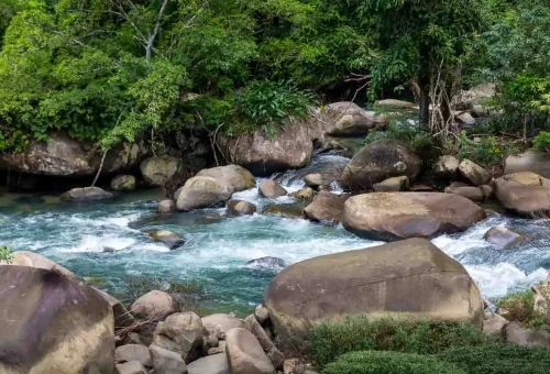 Khao Sok Jungle Trekking Phuket Travel Store 6
