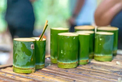 Enjoying a coffee break in nature at Khao Sok National Park – relaxing moment surrounded by rainforest and fresh jungle air