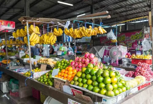 khao-sok-jungle-trekking-phuket-travel-store-2