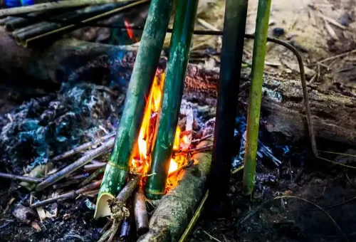 Coffee break in the jungle at Khao Sok National Park – sipping hot coffee surrounded by tropical greenery and fresh mountain air