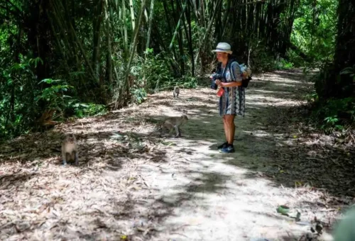 Jungle trekking in Khao Sok National Park – hiker walking along a rainforest trail surrounded by tropical vegetation in Thailand