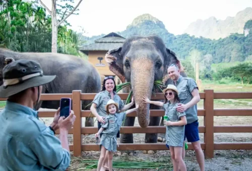 Guests enjoying a playful moment with elephants during a Khao Sok day trip in Thailand