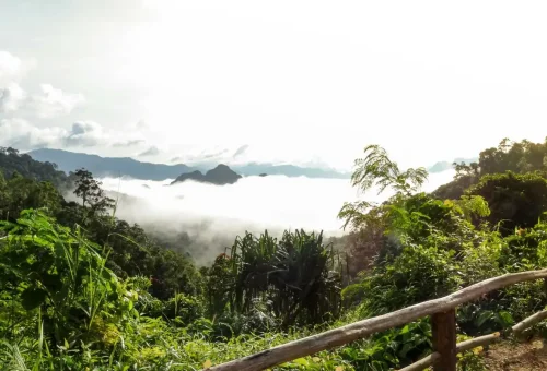 khao-sok-day-trip-phuket-travel-store-15