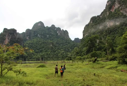 Visitor enjoying panoramic views of Cheow Lan Lake with lush rainforest and limestone mountains in Khao Sok National Park