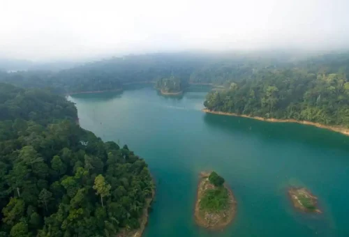 khao-sok-two-days-wildlife-phuket-travel-store-1