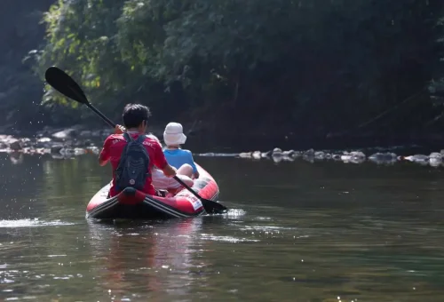 Canoeing on the Sok River surrounded by lush rainforest at Khao Sok National Park with Phuket Travel Store.
