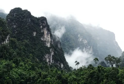 Breathtaking panoramic view of Khao Sok National Park with lush rainforest and dramatic limestone cliffs, captured during a Phuket Travel Store tour.