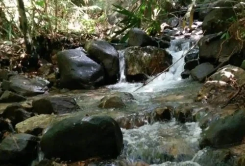 Scenic view of the Sok River winding through lush rainforest and limestone cliffs in Khao Sok National Park, on a tour with Phuket Travel Store.