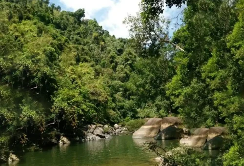 Scenic view of Sok River flowing through the jungle in Khao Sok National Park, captured during a Phuket Travel Store eco-adventure tour.