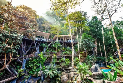 Scenic view of the Rock and Treehouse Resort surrounded by lush jungle in Khao Sok National Park with Phuket Travel Store.