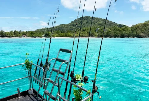 Travelers enjoying the high-end features of Super-F in Phuket