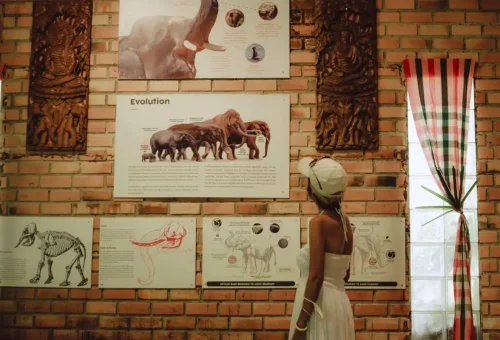 khao-lak-elephant-sanctuary-phuket-travel-store-19