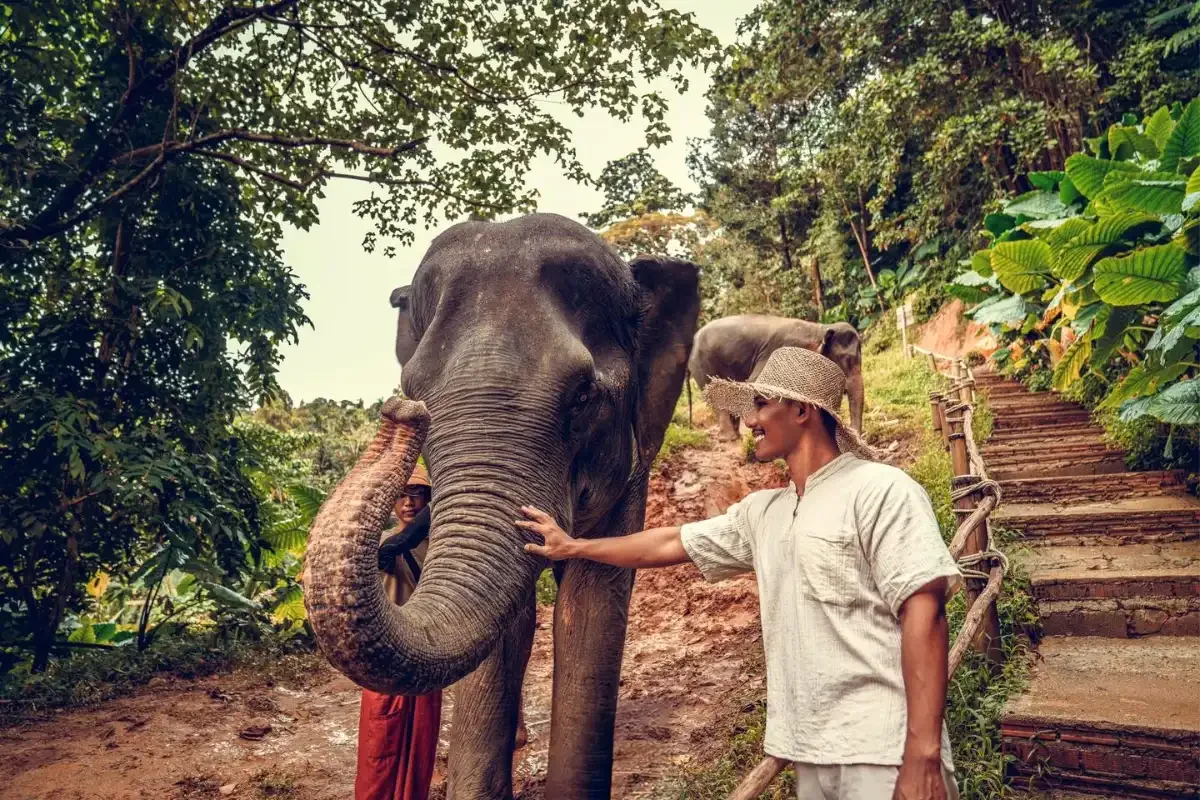 Khao Lak Elephant Sanctuary Phuket Travel Store 20