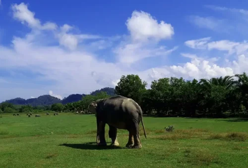Nature trail entrance with tour guide
