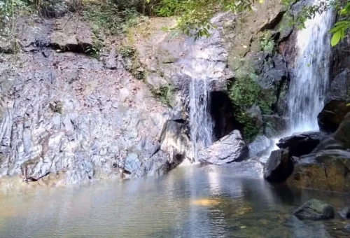 Bamboo rafting through Khao Lak jungle