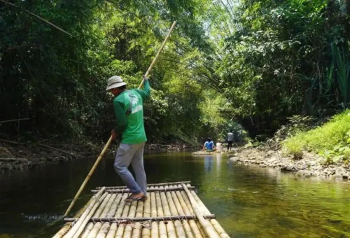 Guest photographing tropical plants
