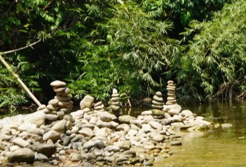 Monsoon forest canopy view in Khao Lak