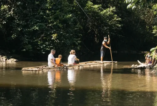 Local Thai flora on jungle trail