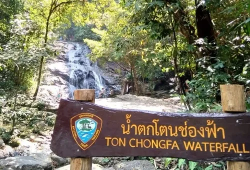 Original Khao Lak Nature Tour Phuket Travel Store 11