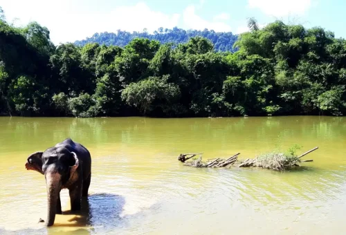 Natural swimming hole in Khao Lak