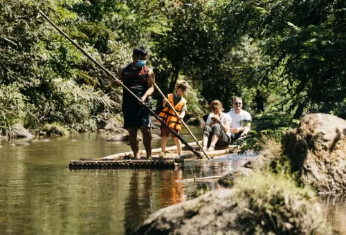 Phuket Travel Store guests walking through bamboo forest