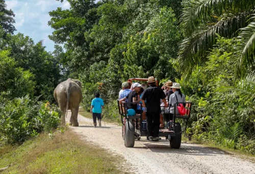 Original Khao Lak Nature Tour Phuket Travel Store 2