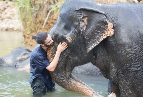 Eco-tourism day trip from Khao Lak to elephant park