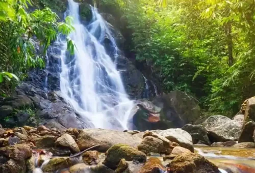 Hands preparing elephant food in sanctuary