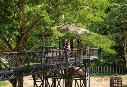 Scenic eco-tour from Phuket to Phang Nga