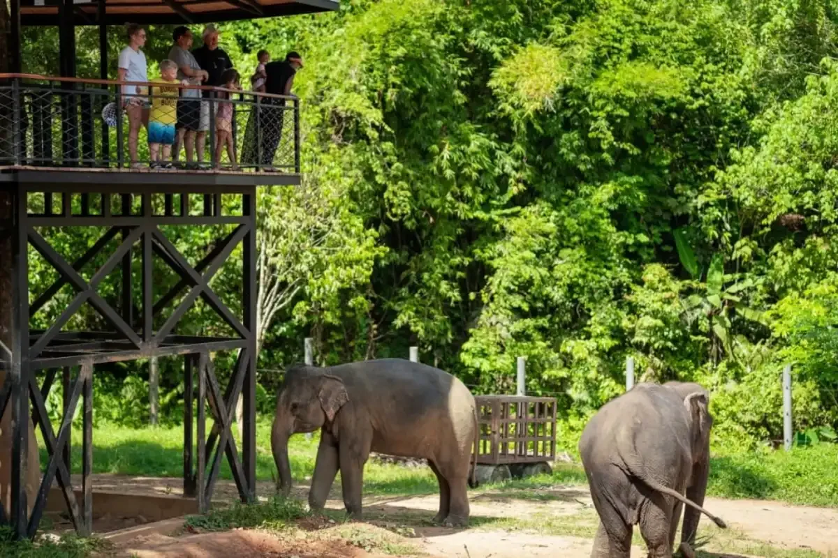 Phang Nga Elephant Park Phuket Travel Store 26